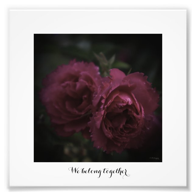 Foto förstoring We belong together  (Frente)