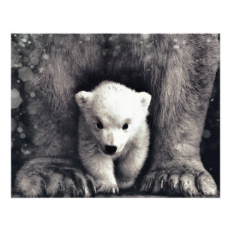 Foto Forte Como Um Cubo De Urso Polar Da Mamma