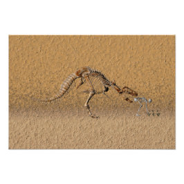 Foto fóssil de dobra temporal