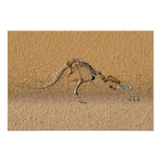 Foto fóssil de dobra temporal