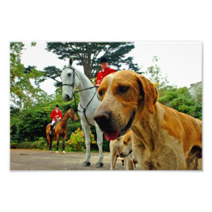 Foto Foxhound Dogs Horses West Berkshire Hunt England