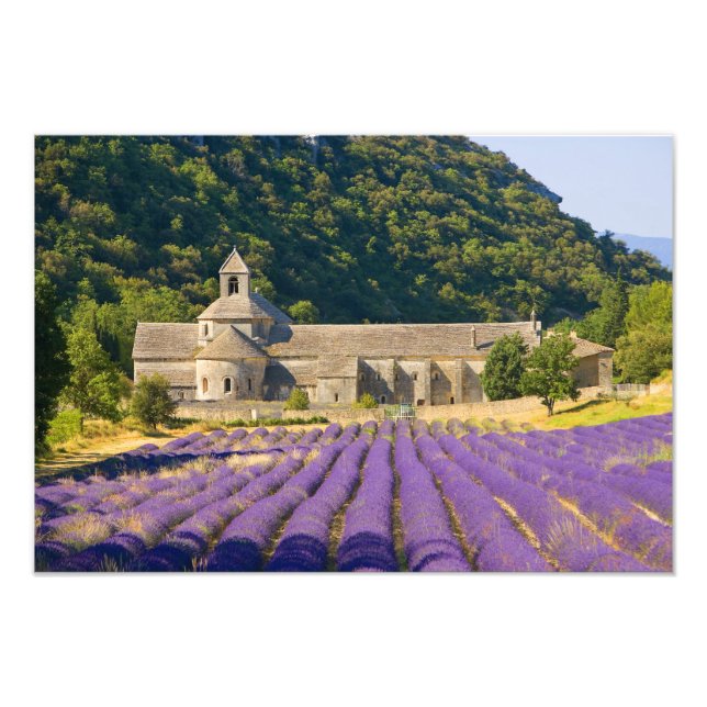 Foto França, Gordes. Mosteiro de Cisterciano (Frente)