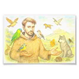 Foto Francis, o sermão para os pássaros e animais