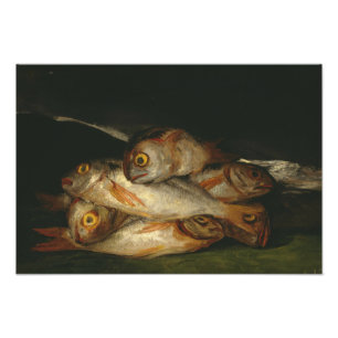 Foto Francisco Goya - A Vida Estática com o Ouro Bream