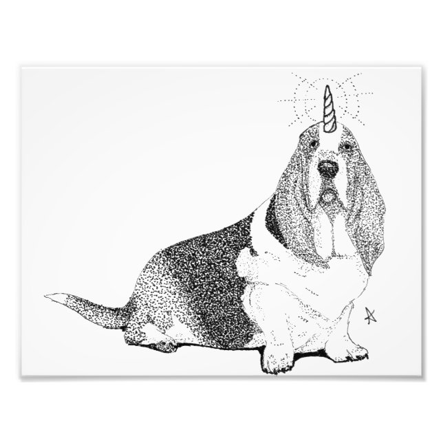 Foto Fred Bassetcorn (Frente)