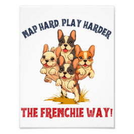 Foto Frenchie French Bulldog Dog