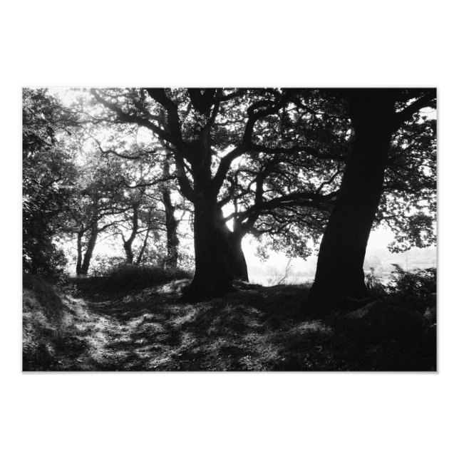 Foto FRINGE (fotográfico) (Frente)