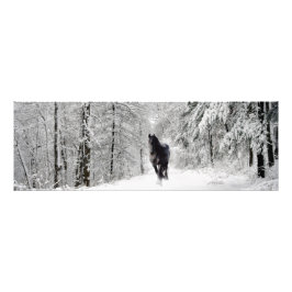 Foto Frísia DIAMOND VII - FotoImpressão