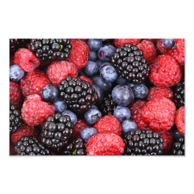 Foto Fundo da Fruta da Floresta (Frente)