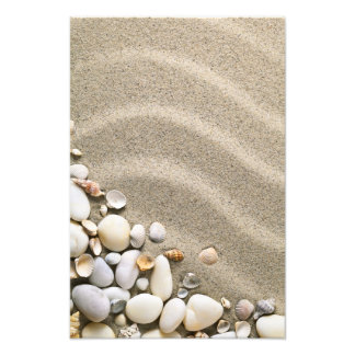 Foto Fundo De Praia Sandy Com Conchas E Pedras