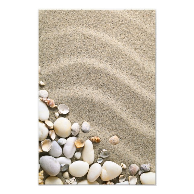 Foto Fundo De Praia Sandy Com Conchas E Pedras (Frente)