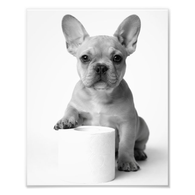 Foto Funny Aesthetic French Bulldog Toilet Paper Photo (Frente)