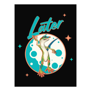 Foto Funny Gecko Mais Tarde