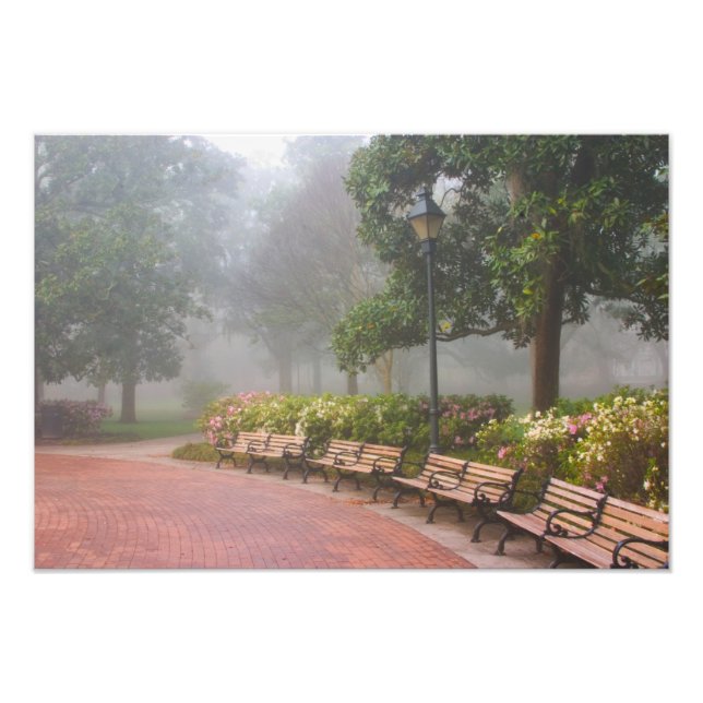 Foto GA Savannah, Azaleas ao longo da calçada e (Frente)