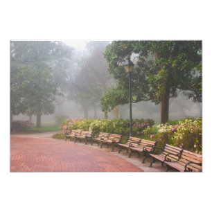 Foto GA Savannah, Azaléias ao longo da calçada de tijol