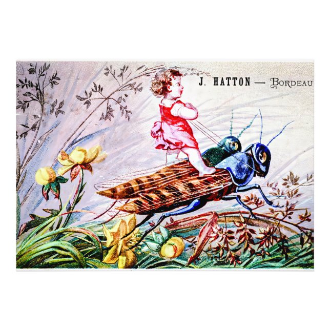 Foto Gafanhotos-do-rio-criança (Frente)