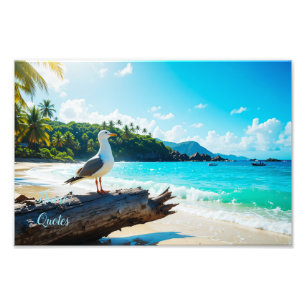 Foto Gaivota Majestosa na Praia Tropical