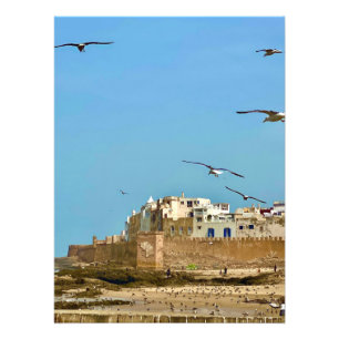 Foto Gaivotas e a Cidade. - Essaouira, Marrocos