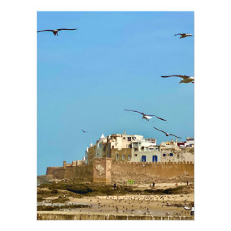 Foto Gaivotas e a Cidade. - Essaouira, Marrocos
