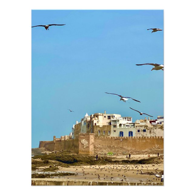 Foto Gaivotas e a Cidade. - Essaouira, Marrocos (Frente)