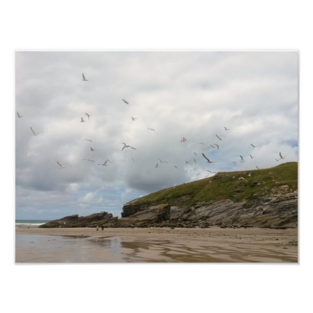 Foto Gaivotas no Porth Beach Newquay Cornwall (Frente)