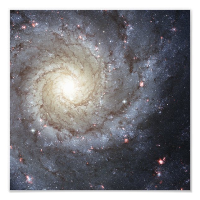 Foto Galáxia espiral M74 (Frente)