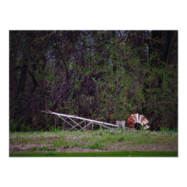 Foto Gale me empurrou (Frente)