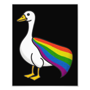 Foto Ganso Arco-íris Orgulho LGBTQ Gay Transgênero LGBT