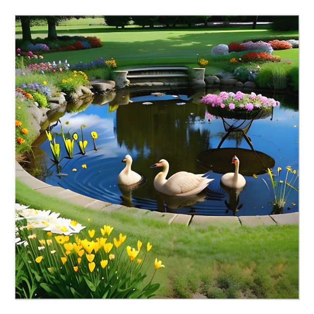 Foto Gansos no Lago com Flores e Grama (Frente)
