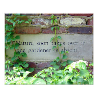 Foto Garden Weeding Wisdom at Inniswood Park