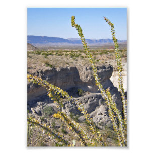 Foto Garganta do tufo & Ocotillo, parque nacional de