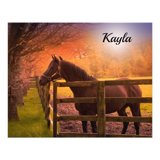 Foto Garota do Cavalo (Frente)