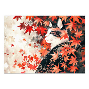 Foto Gata Geisha Preta e Branca Sob Folhas de Bordo Ver