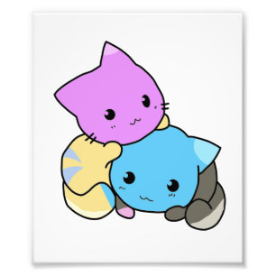 Foto gatinho bonito