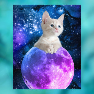 Foto Gatinho Fofo Na Lua, Estrelas Brilhantes, Universo