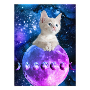 Foto Gatinho Fofo Na Lua Estrelas Brilhantes Universo V