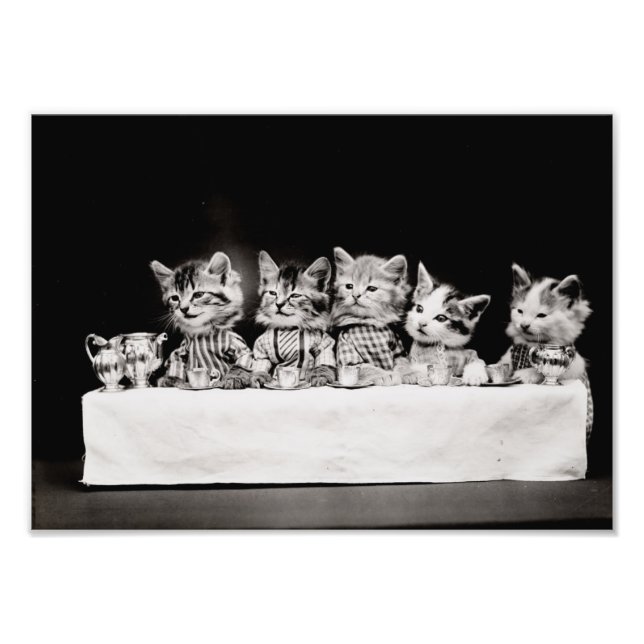 Foto Gatinho Tea Party (Frente)