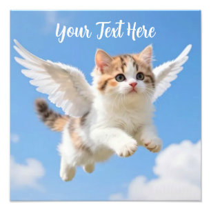 Foto Gatinho Voador Fofo Calico Tabby Céu Azul