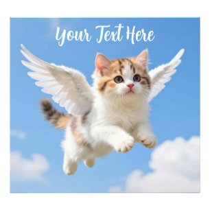 Foto Gatinho Voador Fofo Calico Tabby Céu Azul