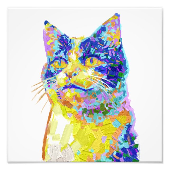 Foto Gato à luz do sol (Frente)