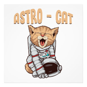 Foto Gato Astro