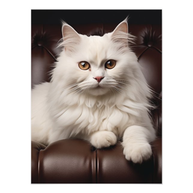 Foto Gato branco majestoso (Frente)