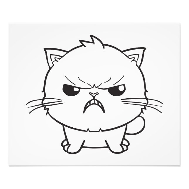 Foto Gato bravo bonito cantando. (Frente)