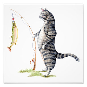 Foto Gato com um peixe