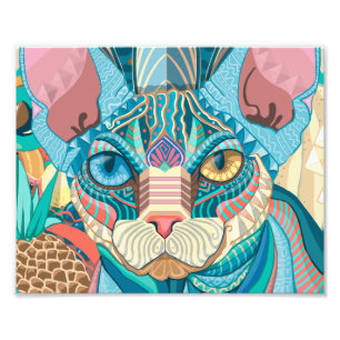 Foto Gato cósmico de Sphynx