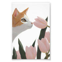 Gato Curioso Floral de Primavera
