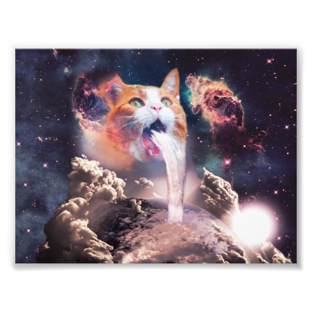 Foto Gato de cachoeira (Frente)