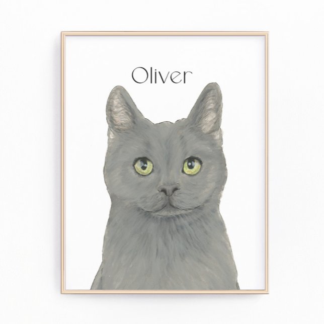Foto Gato de Chartreux de Cinzas Personalizadas (Criador carregado)