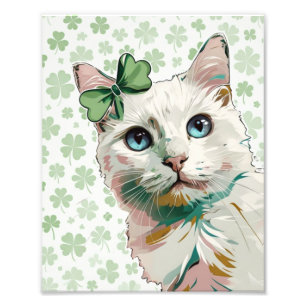 Foto Gato de Shamrock com olhos azuis