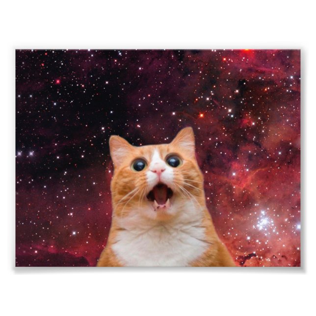 Foto Gato do Espaço Amazado (Frente)